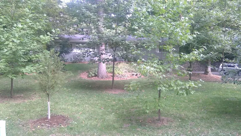 Property photo: 10102 CIRCLEWOOD DR