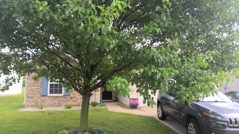 Property photo: 11121 LA FORTUNA WAY